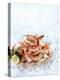 Cooked Prawns in a Bowl on Crushed Ice-null-Premier Image Canvas