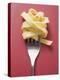 Cooked Ribbon Pasta on a Fork-null-Premier Image Canvas