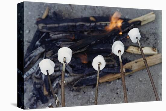 Cooking Marshmallows over Campfire-William P. Gottlieb-Premier Image Canvas