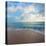 Cool Beach Square II-Susan Bryant-Premier Image Canvas