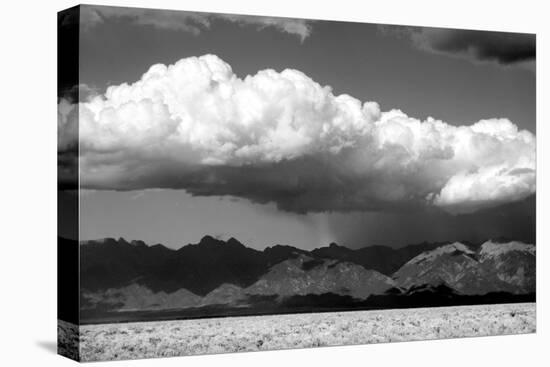 Cool Colorado Rain BW-Douglas Taylor-Premier Image Canvas