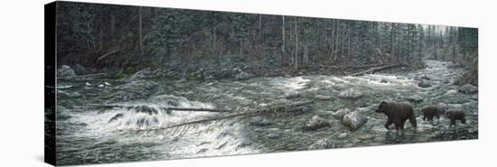 Cool Creek-Jeff Tift-Premier Image Canvas