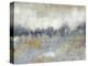 Cool Grey Horizon II-Jennifer Goldberger-Stretched Canvas