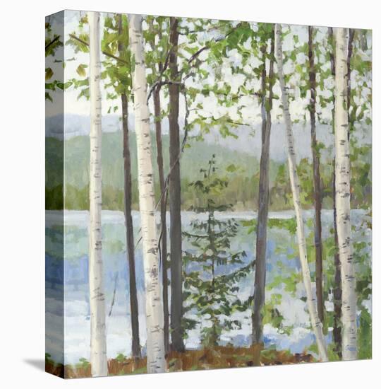 Cooper Lake I-Elissa Gore-Stretched Canvas