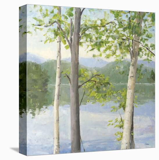 Cooper Lake II-Elissa Gore-Stretched Canvas