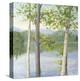 Cooper Lake II-Elissa Gore-Stretched Canvas