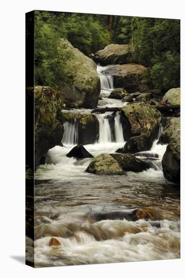 Copeland Falls, Rocky Mountain National Park, Colorado, USA-Michel Hersen-Premier Image Canvas