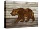 Copper Bear-Mark Chandon-Stretched Canvas