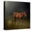 Copper Colt in the Moon Light-Jai Johnson-Premier Image Canvas