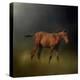 Copper Colt in the Moon Light-Jai Johnson-Premier Image Canvas