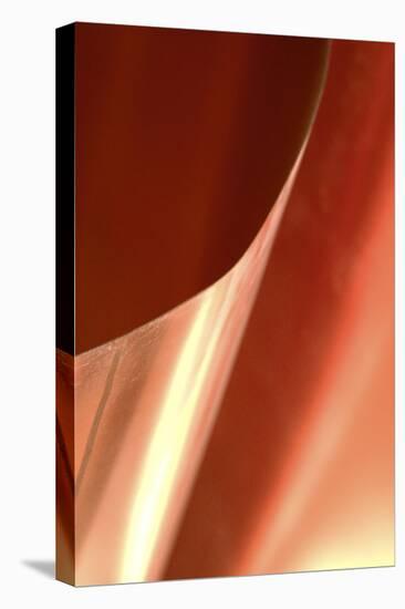 Copper Curves II-Karyn Millet-Premier Image Canvas