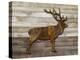 Copper Deer-Mark Chandon-Stretched Canvas