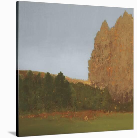 Copper Grove II-Caroline Gold-Stretched Canvas