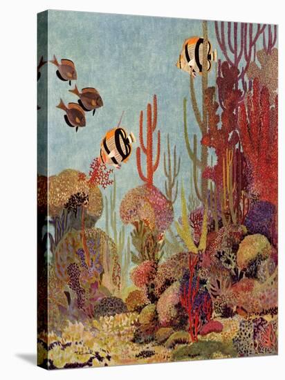Coral and Fish, 1933-null-Premier Image Canvas