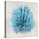 Coral Aqua I-Caroline Kelly-Stretched Canvas