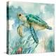 Coral Bay Sea Turtle II-null-Stretched Canvas