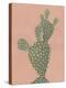 Coral Cacti II-null-Stretched Canvas