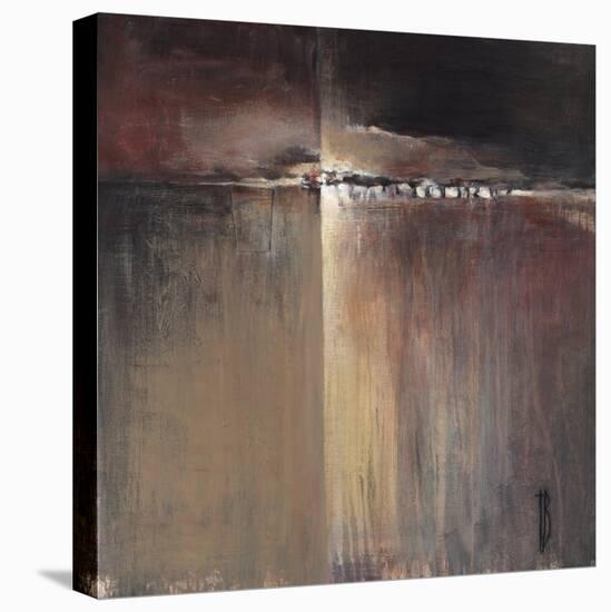 Coral Desert-Terri Burris-Stretched Canvas