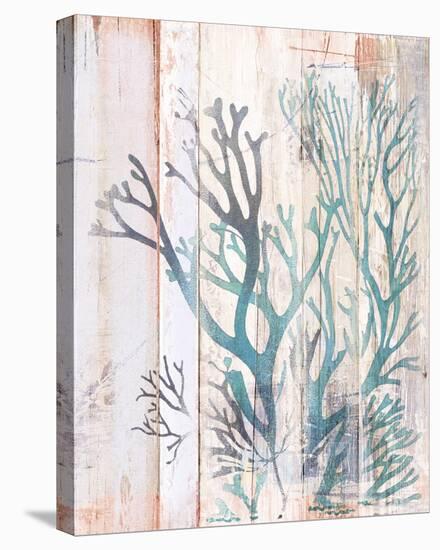 Coral Forest I-Ken Hurd-Stretched Canvas