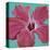 Coral Hibiscus-Roberta Aviram-Stretched Canvas