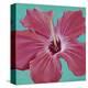 Coral Hibiscus-Roberta Aviram-Stretched Canvas