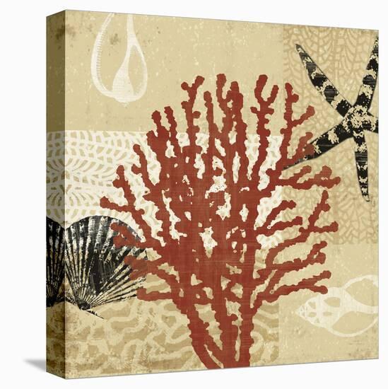 Coral Impressions III-Tandi Venter-Stretched Canvas