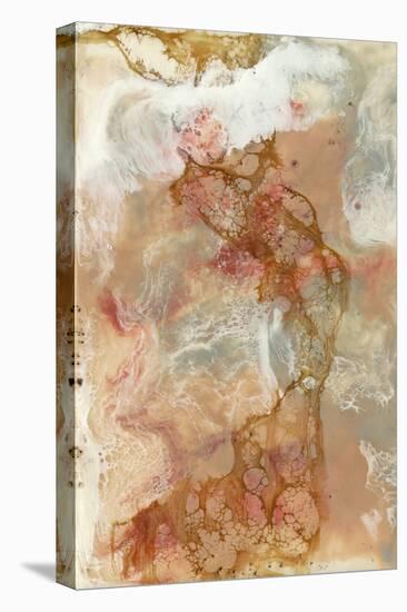 Coral Lace I-Jennifer Goldberger-Stretched Canvas