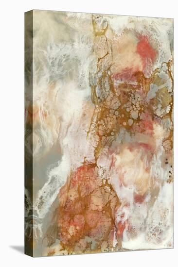 Coral Lace II-Jennifer Goldberger-Stretched Canvas