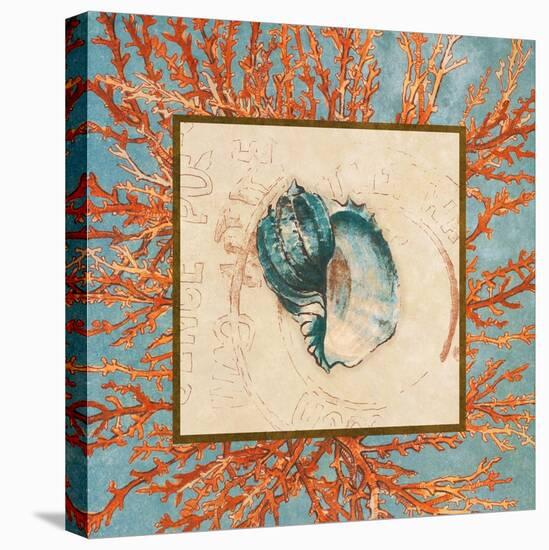 Coral Medley Shell II-Lanie Loreth-Stretched Canvas