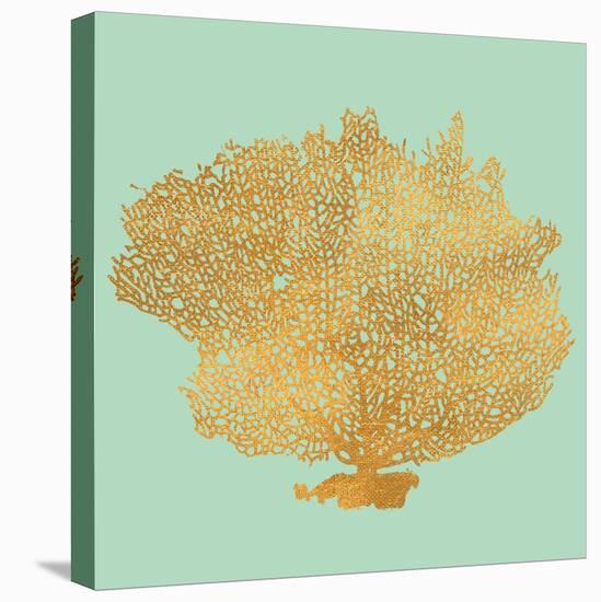 Coral on Teal I-Jairo Rodriguez-Stretched Canvas