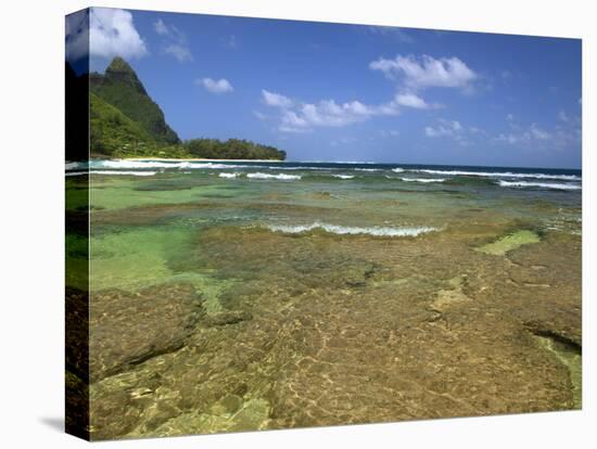 Coral on Tunnels Beach, Kauai, Hawaii, USA-Dennis Flaherty-Premier Image Canvas