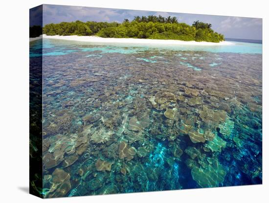 Coral Plates, Lagoon and Tropical Island, Maldives, Indian Ocean, Asia-Sakis Papadopoulos-Premier Image Canvas