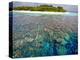 Coral Plates, Lagoon and Tropical Island, Maldives, Indian Ocean, Asia-Sakis Papadopoulos-Premier Image Canvas