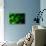 Coral Polyps Fluorescing Green-Louise Murray-Premier Image Canvas displayed on a wall