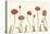 Coral Poppy Display I-Sandra Iafrate-Stretched Canvas