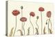 Coral Poppy Display I-Sandra Iafrate-Stretched Canvas