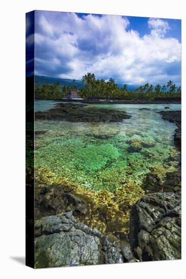 Coral Reef and Heixu, Pu'Uhonua O Honaunau National Historic Park, Kona Coast, Hawaii, Usa-Russ Bishop-Premier Image Canvas