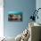 Coral Reef Community-Matthew Oldfield-Premier Image Canvas displayed on a wall