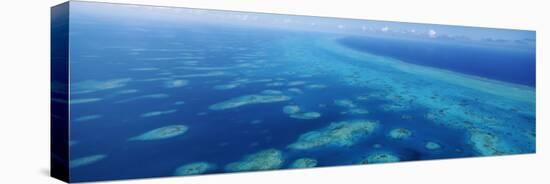 Coral Reef in the Sea, Belize Barrier Reef, Ambergris Caye, Caribbean Sea, Belize-null-Premier Image Canvas