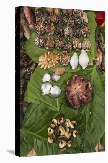 Coral Reef Species, Suva Sea Food Market, Suva, Viti Levu, Fiji-Pete Oxford-Premier Image Canvas