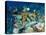 Coral Reefs, Papua, Indonesia-Michele Westmorland-Premier Image Canvas