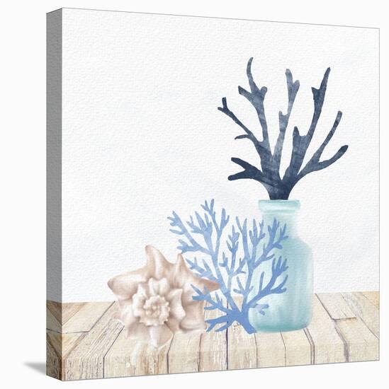 Coral Shelf 1-Kimberly Allen-Stretched Canvas