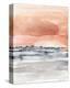 Coral Sky II-Jennifer Goldberger-Stretched Canvas