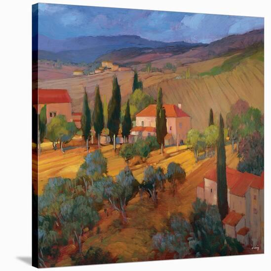 Coral Sunset Tuscany-Philip Craig-Stretched Canvas