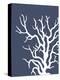 Corals White on Indigo Blue a-Fab Funky-Stretched Canvas