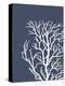 Corals White on Indigo Blue c-Fab Funky-Stretched Canvas