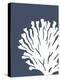 Corals White on Indigo Blue d-Fab Funky-Stretched Canvas