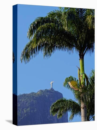 Corcovado and Christ statue viewed through the palm trees of the Botanical Garden, Zona Sul, Rio de-Karol Kozlowski-Premier Image Canvas