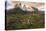 Cordillera Del Paine. Granite Monoliths. Torres Del Paine NP. Chile-Tom Norring-Premier Image Canvas