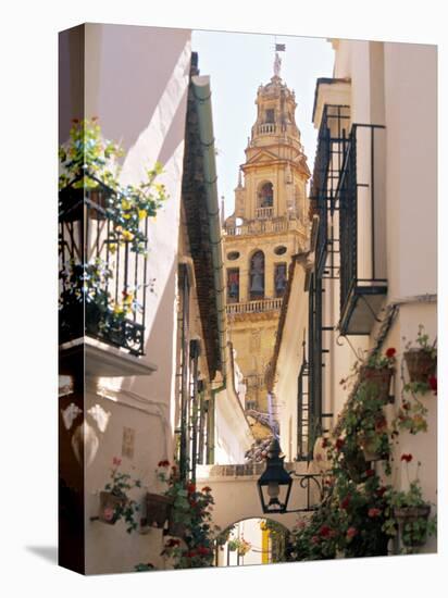 Cordoba, Andalucia, Spain-Peter Adams-Premier Image Canvas